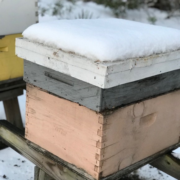 Meet your Posher, Veronica - Picture 1 of 1